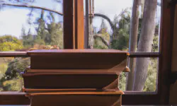 Featured image of post Books